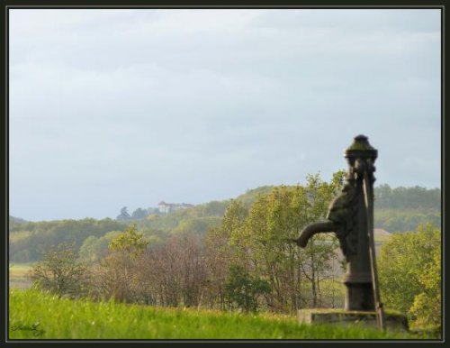 Boucle de Monbos - Thénac, Thénac - photo 2