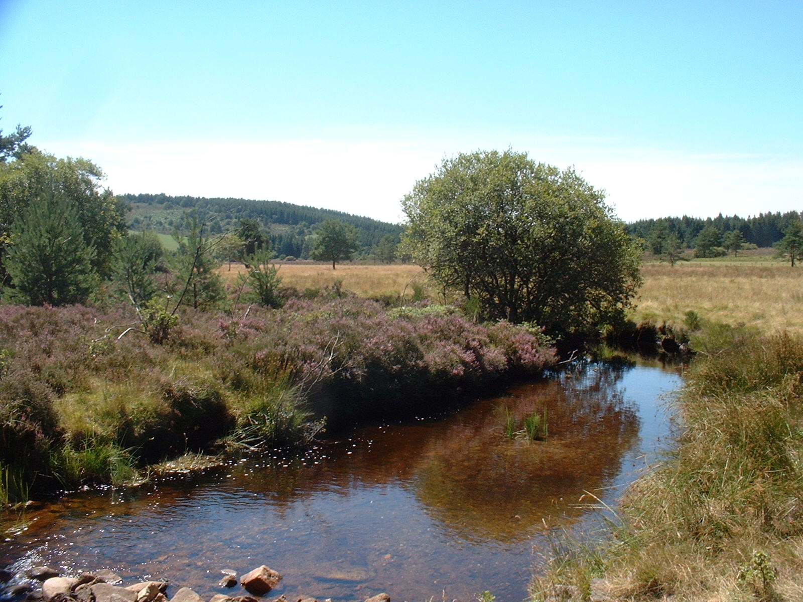 VTT - Gravel - Le Plateau de Millevaches - 53 km - circuit 44