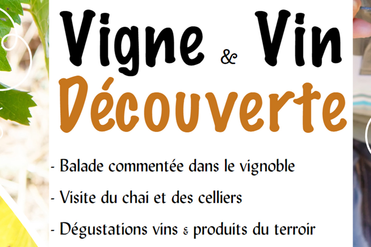 Vigne & vin découverte | Domaine du Siorac — visuel événement