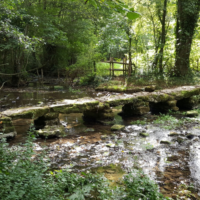 Le musson et le marcusson