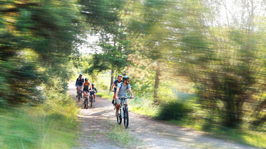 Jerry Bike - photo 4