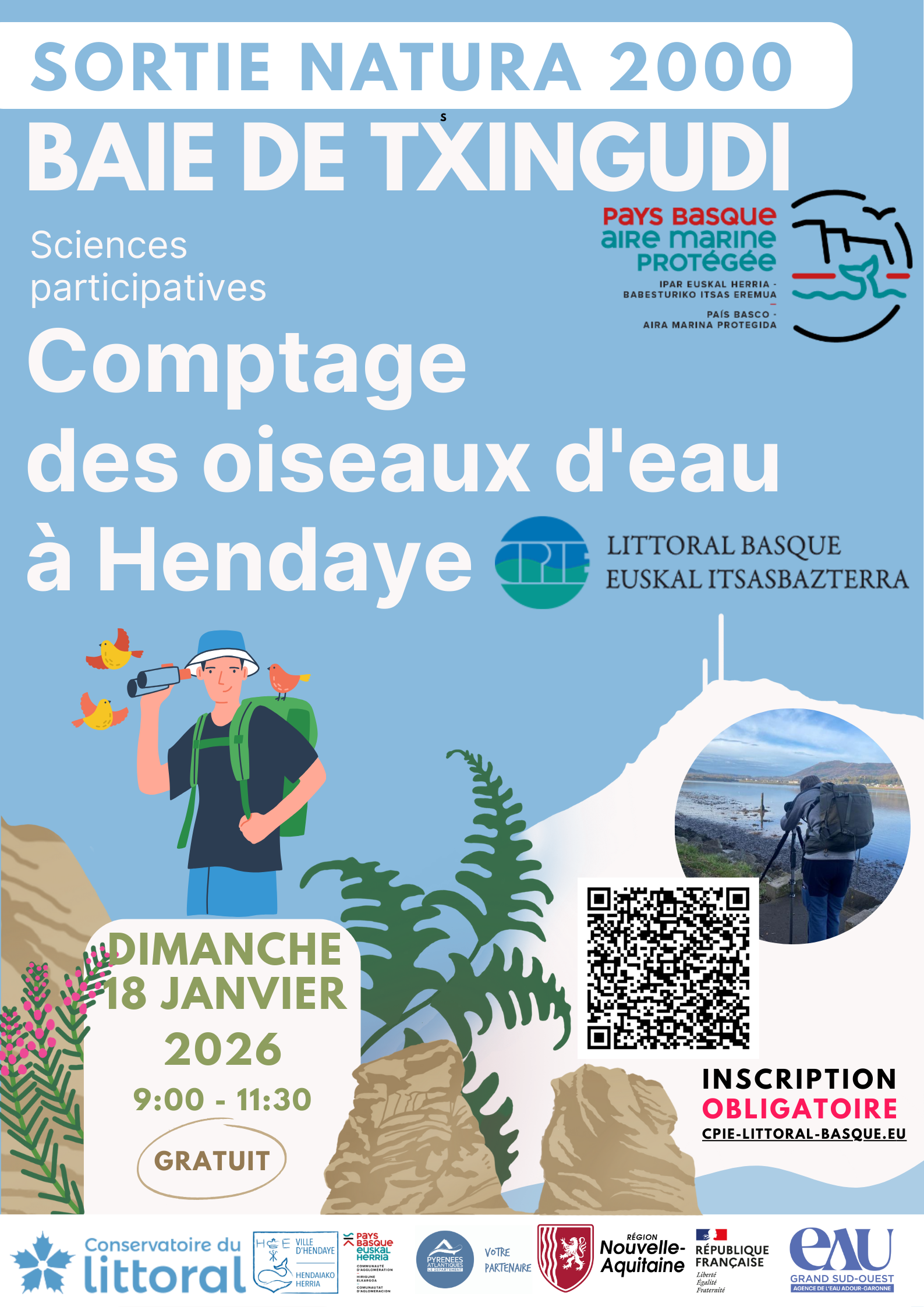 Comptage international des oiseaux d'eau