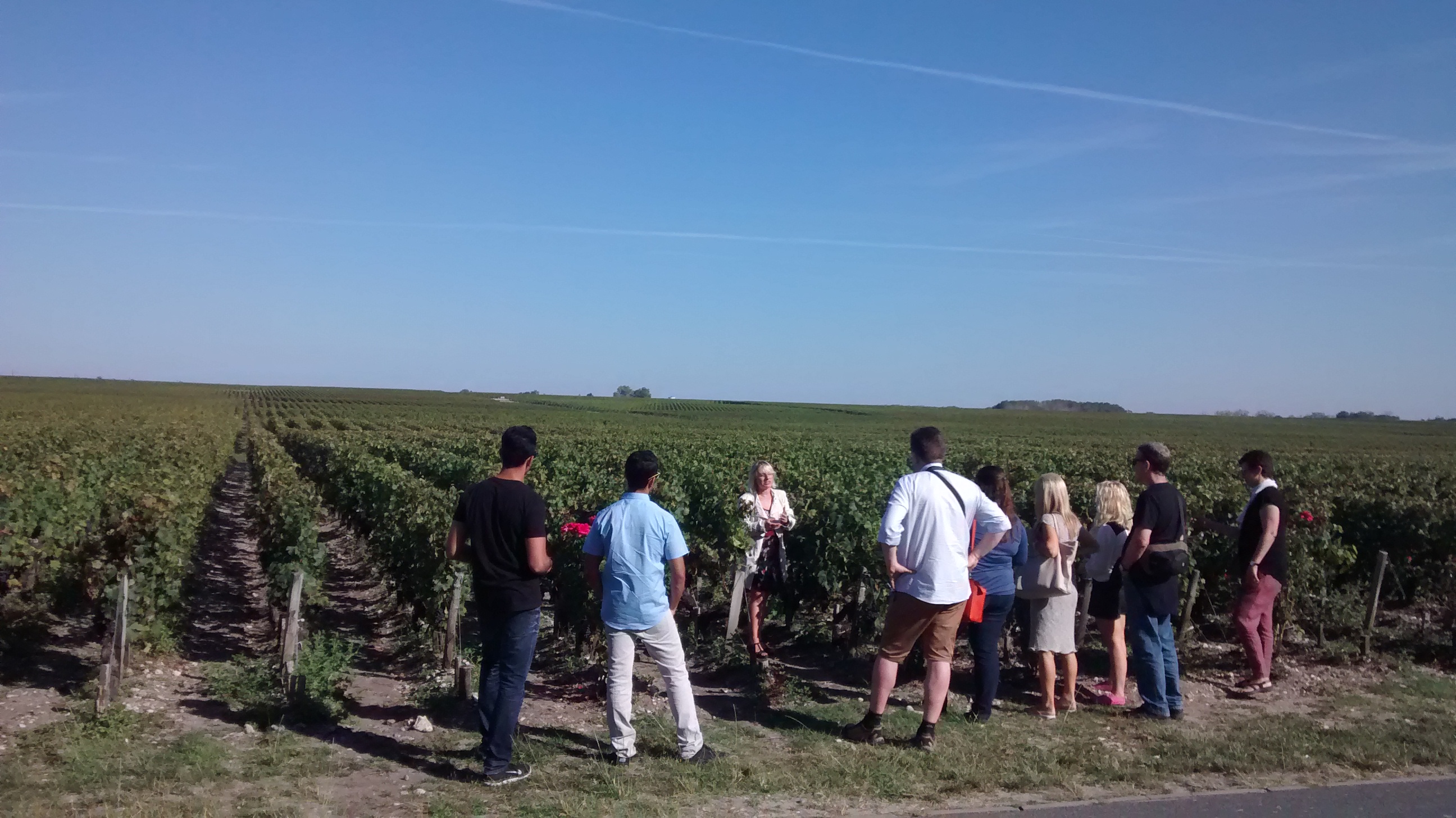 Olala Bordeaux — photo 3