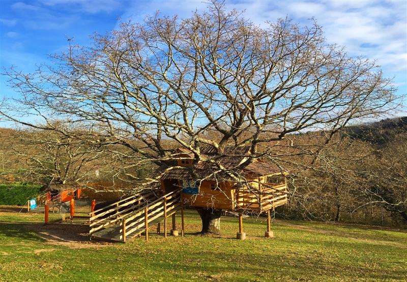 Wow Park : Parc de Loisirs Aventure - TA