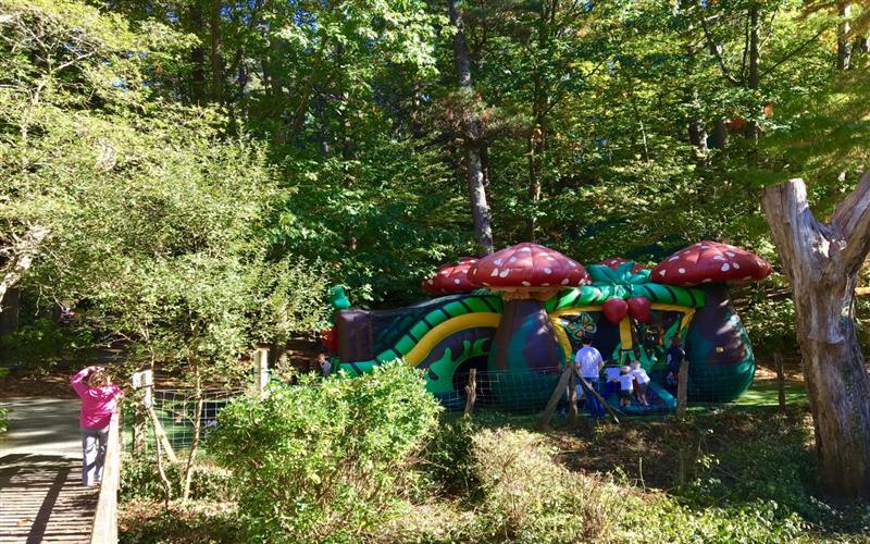 Wow Park : Parc de Loisirs Aventure - TA