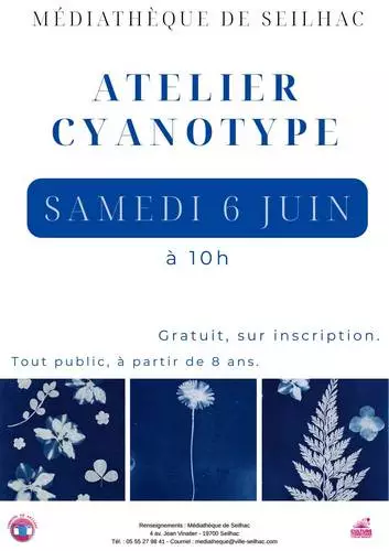 Médiathéque : Atelier cyanotype