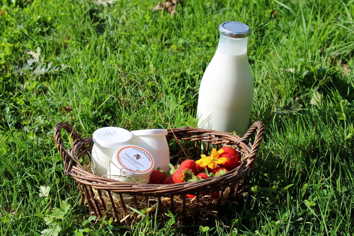 Gîte de la Chèvrerie, Grignols - photo 12