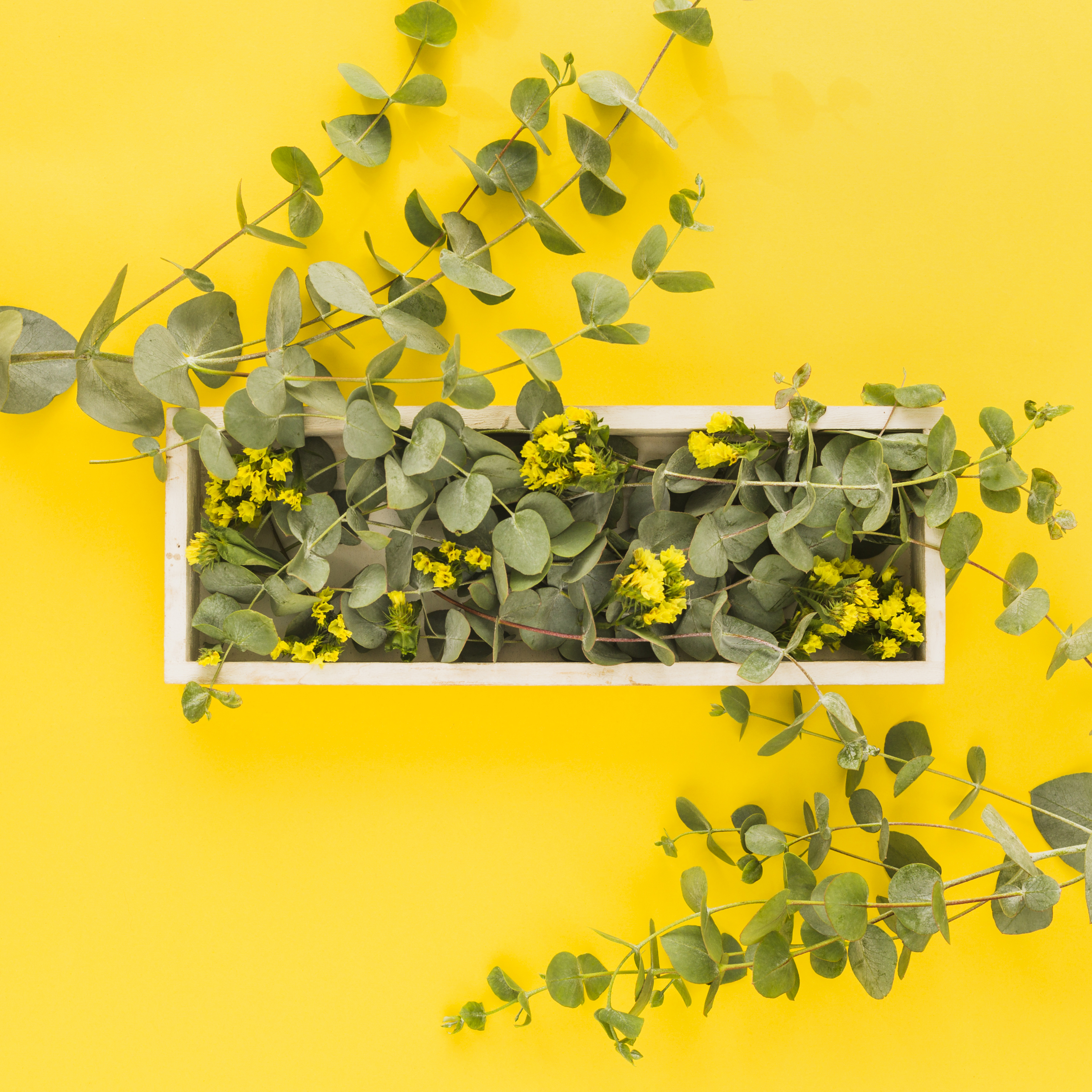 L'été de l'Office : Composition de plantes avec création de support