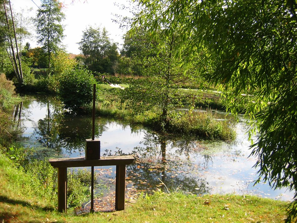 Ile aux Demoiselles