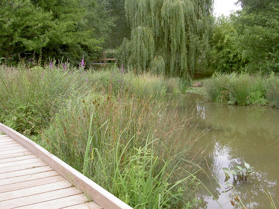 Ile aux Demoiselles, Nouaillé-Maupertuis - photo 4
