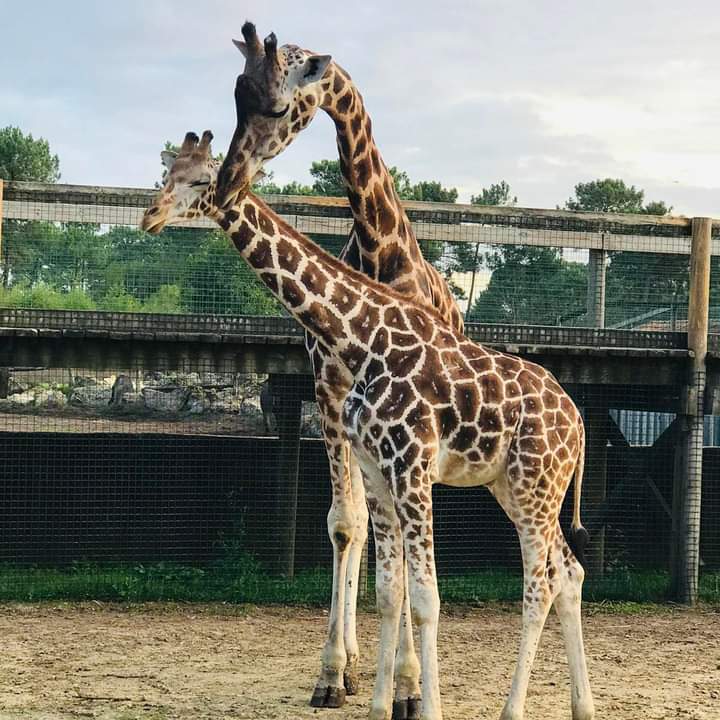 Zoo du Bassin d’Arcachon