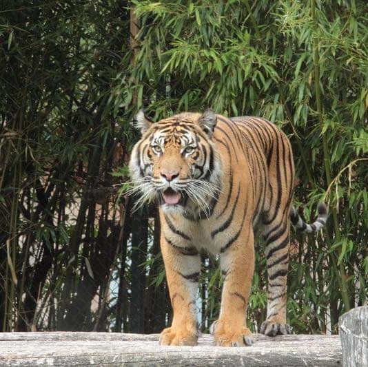 Zoo du Bassin d’Arcachon