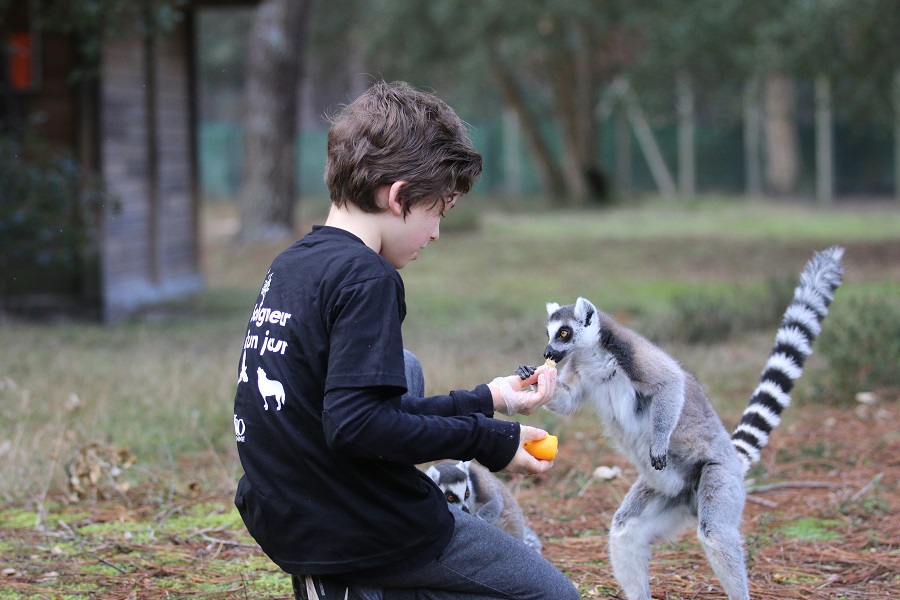Zoo de Labenne, Labenne - photo 10