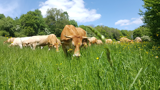 Ferme de Charchenay